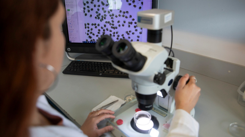 Mujer en un laboratorio usando un microscopio